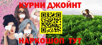 сатива Пенза