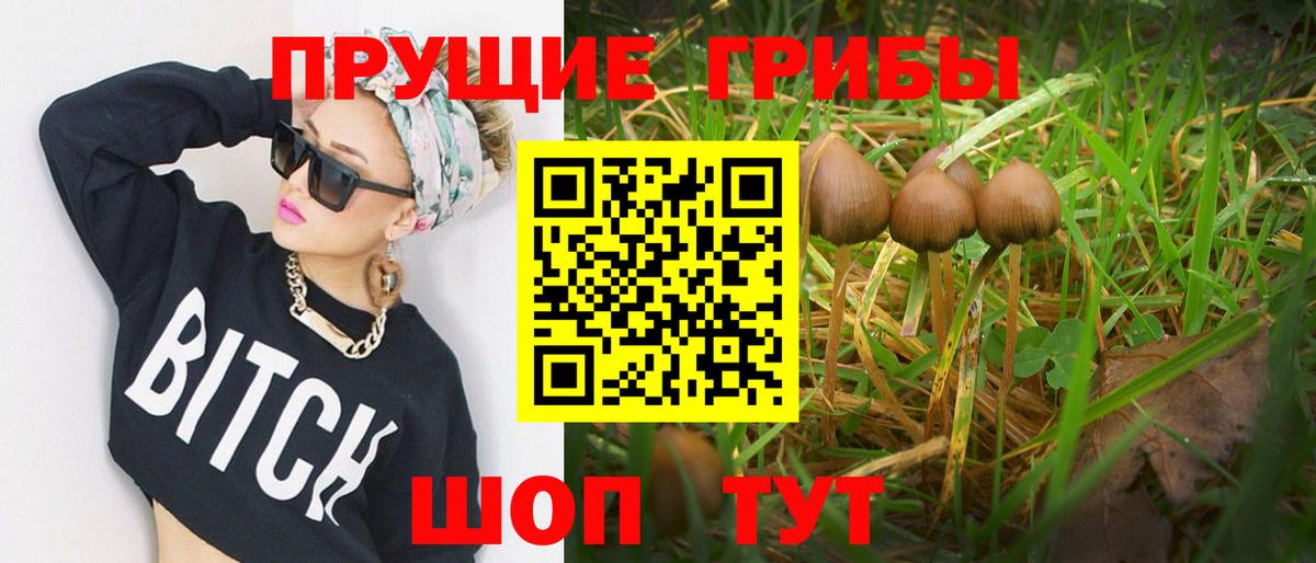 Псилоцибиновые грибы Magic Shrooms  Галлюциногенные грибы Cubensis  Скопин  Вход с VPN 